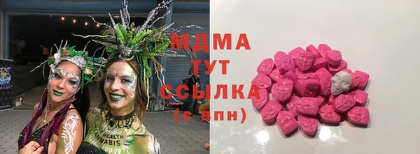 прущие грибы Заводоуковск