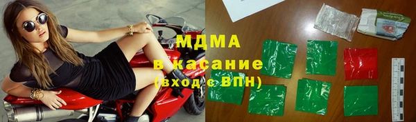 прущие грибы Заводоуковск