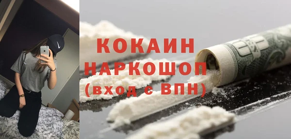 прущие грибы Заводоуковск