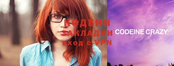 прущие грибы Заводоуковск