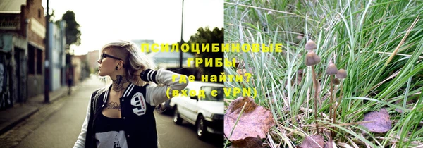 прущие крисы Зеленодольск