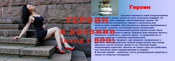 прущие грибы Заводоуковск
