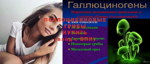 прущие грибы Заводоуковск