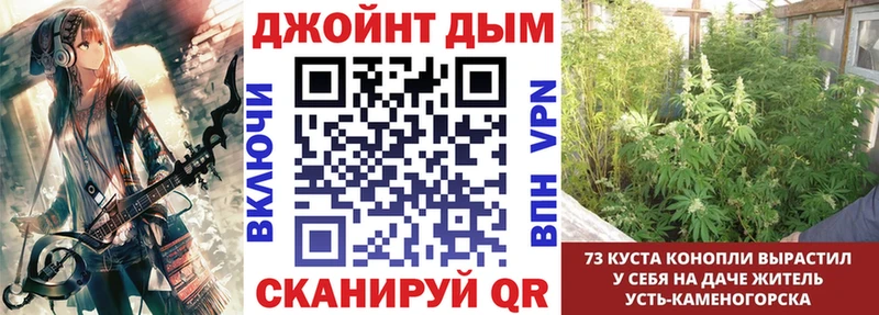 Купить закладки  Вязьма  Канабис ГИДРОПОН 